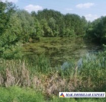 teren-648-ha-lacuri-peste-7200-mp-luciu-in-mihaesti-arges-6