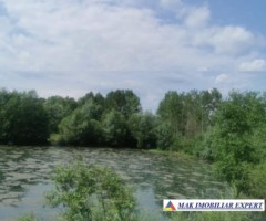teren-648-ha-lacuri-peste-7200-mp-luciu-in-mihaesti-arges-7