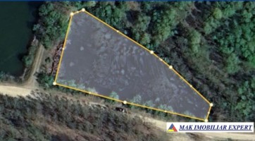 teren-648-ha-lacuri-peste-7200-mp-luciu-in-mihaesti-arges-10