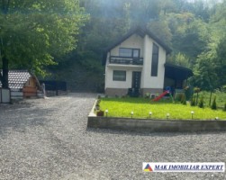 vand-vila-p-e-4-camere-teren-365-mp-rucar-arges-1