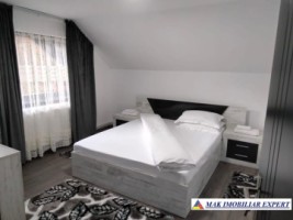 vand-vila-p-e-4-camere-teren-365-mp-rucar-arges-6