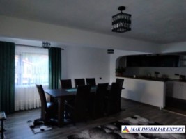 vand-vila-p-e-4-camere-teren-365-mp-rucar-arges-4