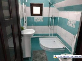 vand-vila-p-e-4-camere-teren-365-mp-rucar-arges-9