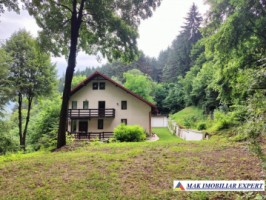 vand-vila-5-camere-teren-2440-mp-dragoslavele-arges-2