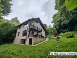 vand-vila-5-camere-teren-2440-mp-dragoslavele-arges