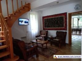 vand-vila-5-camere-teren-2440-mp-dragoslavele-arges-8