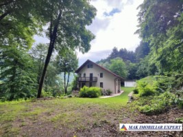 vand-vila-5-camere-teren-2440-mp-dragoslavele-arges-5