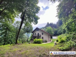 vand-vila-5-camere-teren-2440-mp-dragoslavele-arges-6