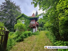 vand-vila-5-camere-teren-2440-mp-dragoslavele-arges-22