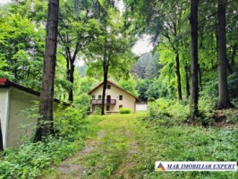 vand-vila-5-camere-teren-2440-mp-dragoslavele-arges-27