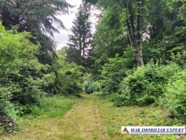 vand-vila-5-camere-teren-2440-mp-dragoslavele-arges-35