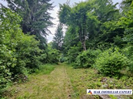 vand-vila-5-camere-teren-2440-mp-dragoslavele-arges-36