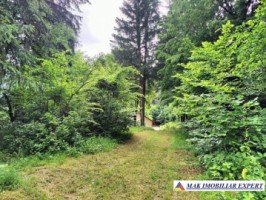 vand-vila-5-camere-teren-2440-mp-dragoslavele-arges-37