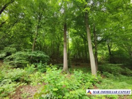 vand-vila-5-camere-teren-2440-mp-dragoslavele-arges-38