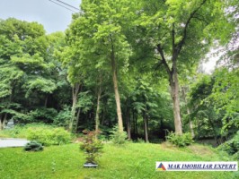 vand-vila-5-camere-teren-2440-mp-dragoslavele-arges-42