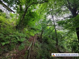 vand-vila-5-camere-teren-2440-mp-dragoslavele-arges-44