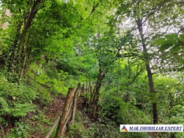 vand-vila-5-camere-teren-2440-mp-dragoslavele-arges-43