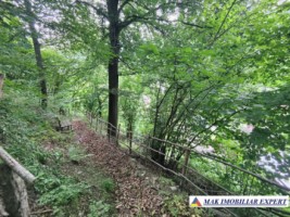 vand-vila-5-camere-teren-2440-mp-dragoslavele-arges-45