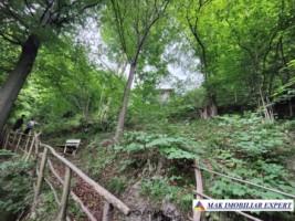 vand-vila-5-camere-teren-2440-mp-dragoslavele-arges-46