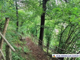 vand-vila-5-camere-teren-2440-mp-dragoslavele-arges-47