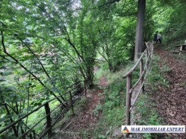 vand-vila-5-camere-teren-2440-mp-dragoslavele-arges-48