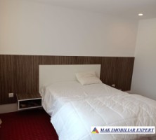 vand-casa-3-camere-teren-1380-mp-stalpeni-arges-15