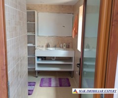 vand-casa-3-camere-teren-1380-mp-stalpeni-arges-19