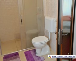 vand-casa-3-camere-teren-1380-mp-stalpeni-arges-25