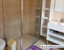 vand-casa-3-camere-teren-1380-mp-stalpeni-arges-21