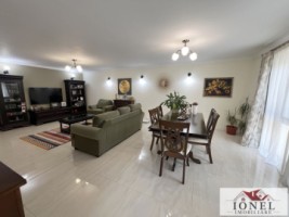 casa-pe-un-nivel-de-vanzare-in-alba-iulia-10