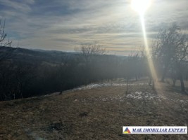 teren-8040-mp-intra-extravilan-mioarele-matau-arges-1