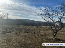 teren-8040-mp-intra-extravilan-mioarele-matau-arges-2