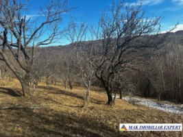 teren-8040-mp-intra-extravilan-mioarele-matau-arges-3