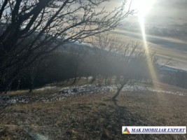 teren-8040-mp-intra-extravilan-mioarele-matau-arges