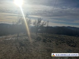 teren-8040-mp-intra-extravilan-mioarele-matau-arges-6