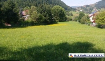 teren-intra-extrav-9649-mp-valea-cheii-dambovicioara-arges-4