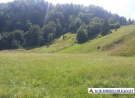 teren-intra-extrav-9649-mp-valea-cheii-dambovicioara-arges-5