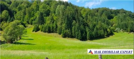 teren-intravilan-6121-mp-de-vanzare-rucar-arges