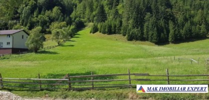 teren-intravilan-6121-mp-de-vanzare-rucar-arges-3