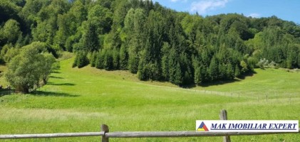 teren-intravilan-6121-mp-de-vanzare-rucar-arges-2