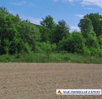 vila-3-camere-casa-vacanta-teren-1100-mp-vulturesti-arges-7