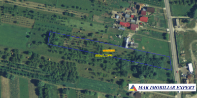 vand-teren-6289-mp-intra-extravilan-musetesti-arges-7