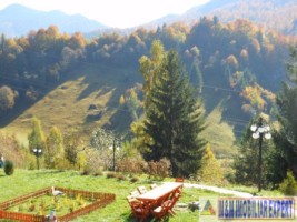 cabana-lemn-11-camere-podul-dambovitei-dambovicioara-arges-14