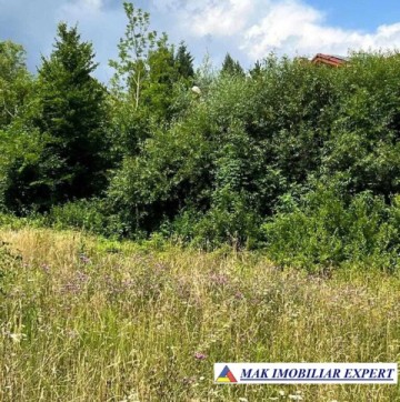 teren-5469-mp-intravilan-podu-dambovitei-dambovicioara-arges-2