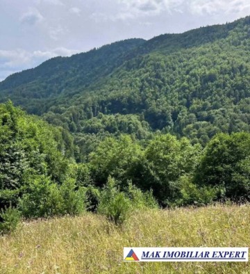 teren-5469-mp-intravilan-podu-dambovitei-dambovicioara-arges-10