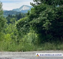 teren-5469-mp-intravilan-podu-dambovitei-dambovicioara-arges-9