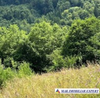 teren-5469-mp-intravilan-podu-dambovitei-dambovicioara-arges-7