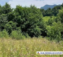 teren-5469-mp-intravilan-podu-dambovitei-dambovicioara-arges-5