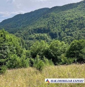 teren-5469-mp-intravilan-podu-dambovitei-dambovicioara-arges-8