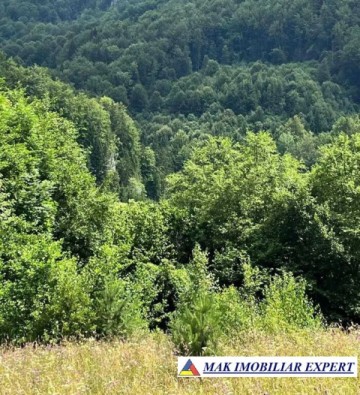 teren-5469-mp-intravilan-podu-dambovitei-dambovicioara-arges-11